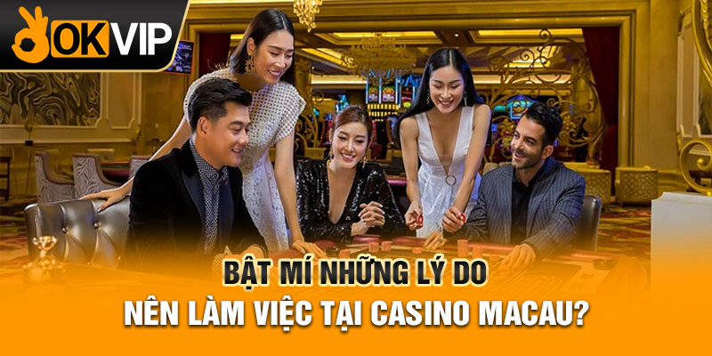 Bật mí những lý do nên làm việc tại casino Macau?