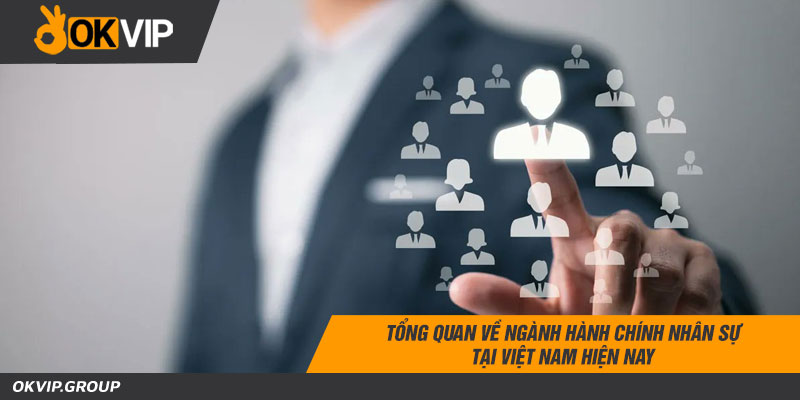 Tổng quan về ngành nghiệp vụ hành chính nhân sự tại Việt Nam hiện nay