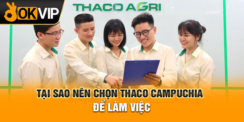 Tại sao nên chọn Thaco Campuchia để làm việc