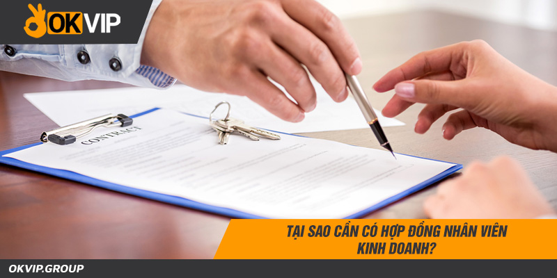Tại sao cần có hợp đồng nhân viên kinh doanh?