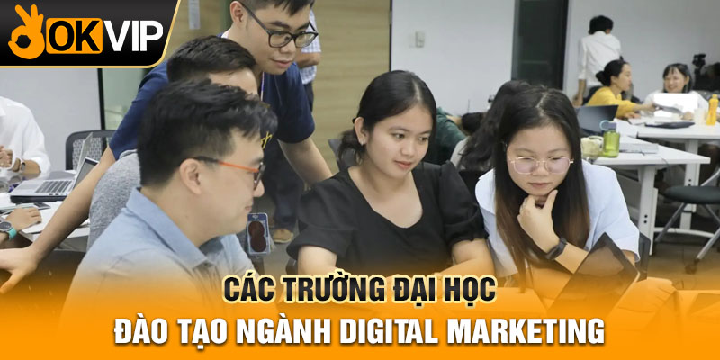 Các trường đại học đào tạo ngành Digital marketing