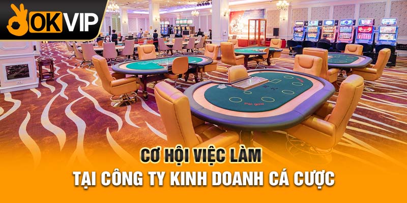 Cơ hội việc làm tại công ty kinh doanh cá cược