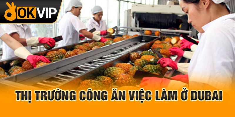 Thị trường công ăn việc làm ở Dubai