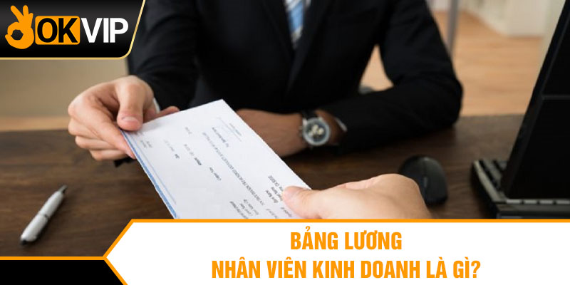 Bảng lương nhân viên kinh doanh là gì?