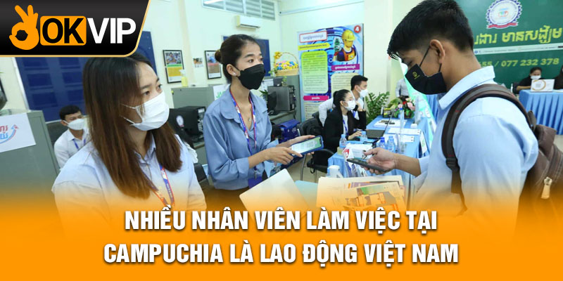 Nhiều nhân viên làm việc tại Campuchia là lao động Việt Nam?