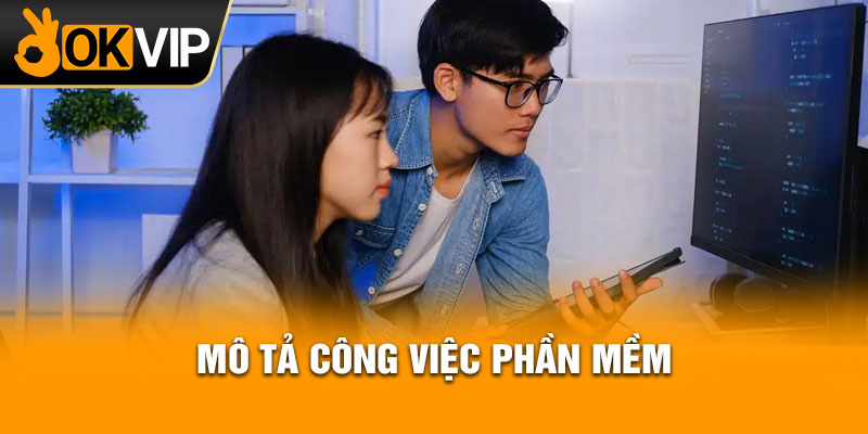 Mô tả công việc phần mềm
